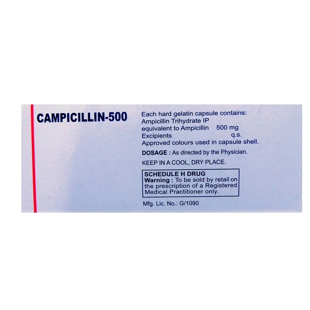 250mg Campicillin Ampicillin Capsules